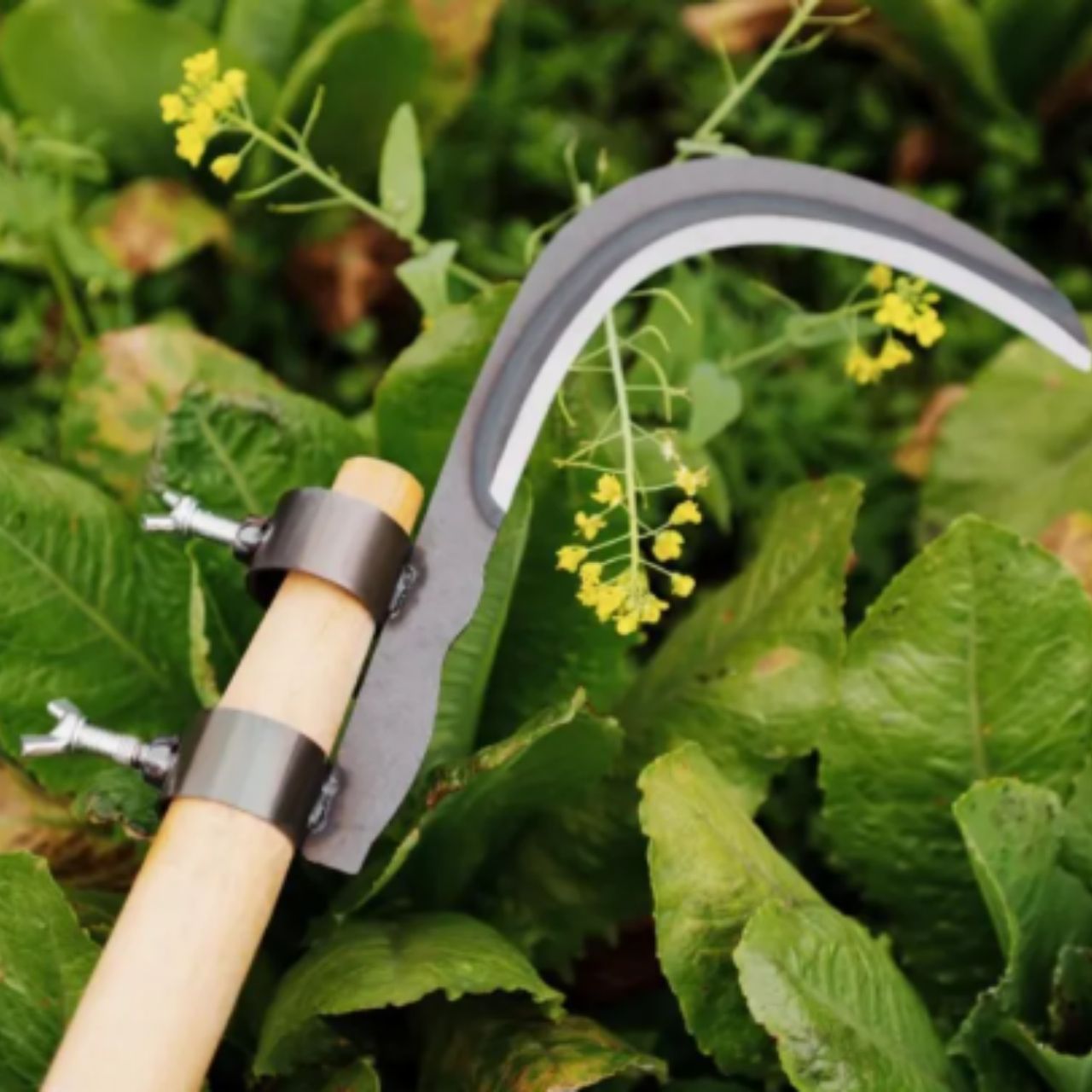AgroTool, резачка за клони, плевели, тръни и растителност - Image 10