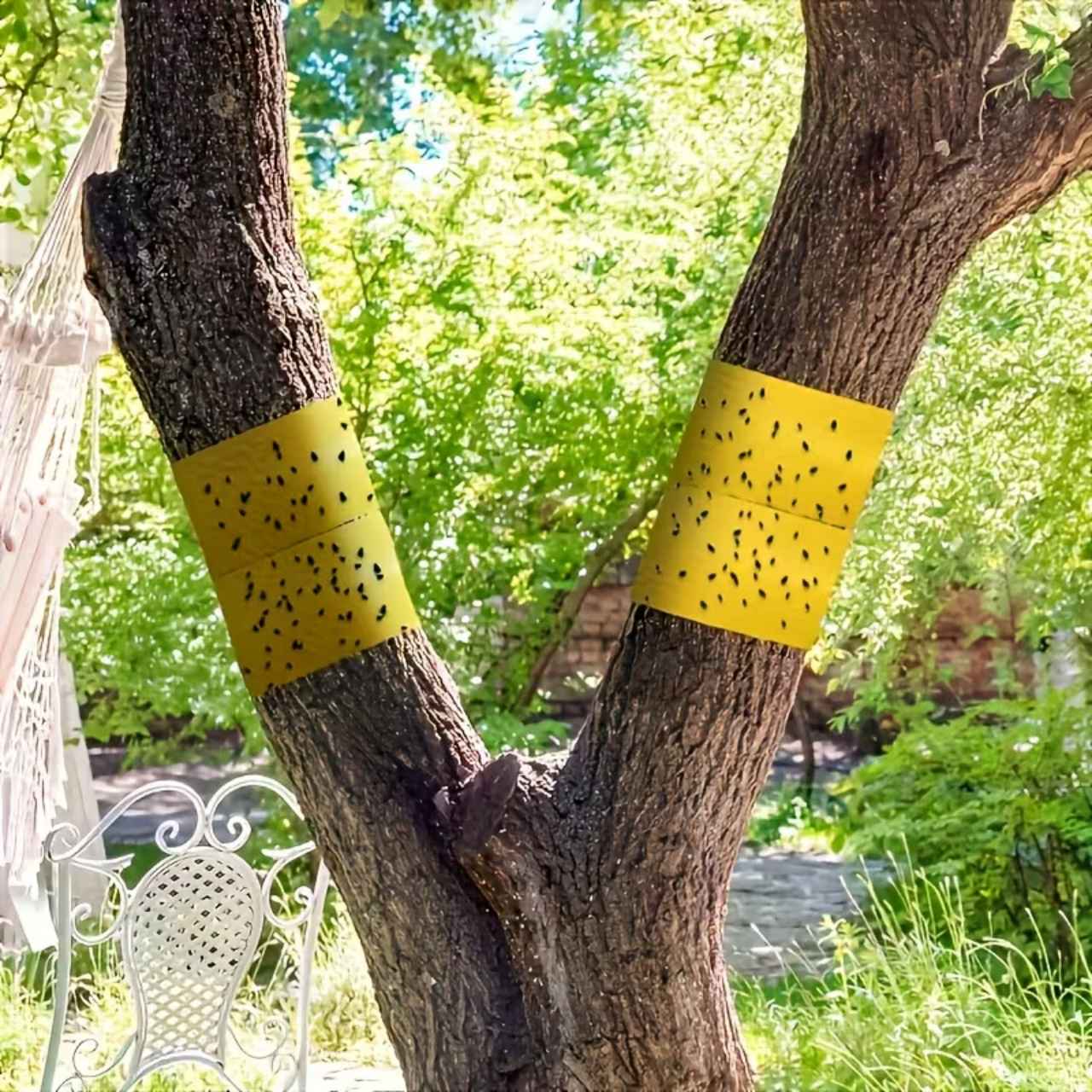 BarrierTape, лепяща лента за улавяне на насекоми - Image 3