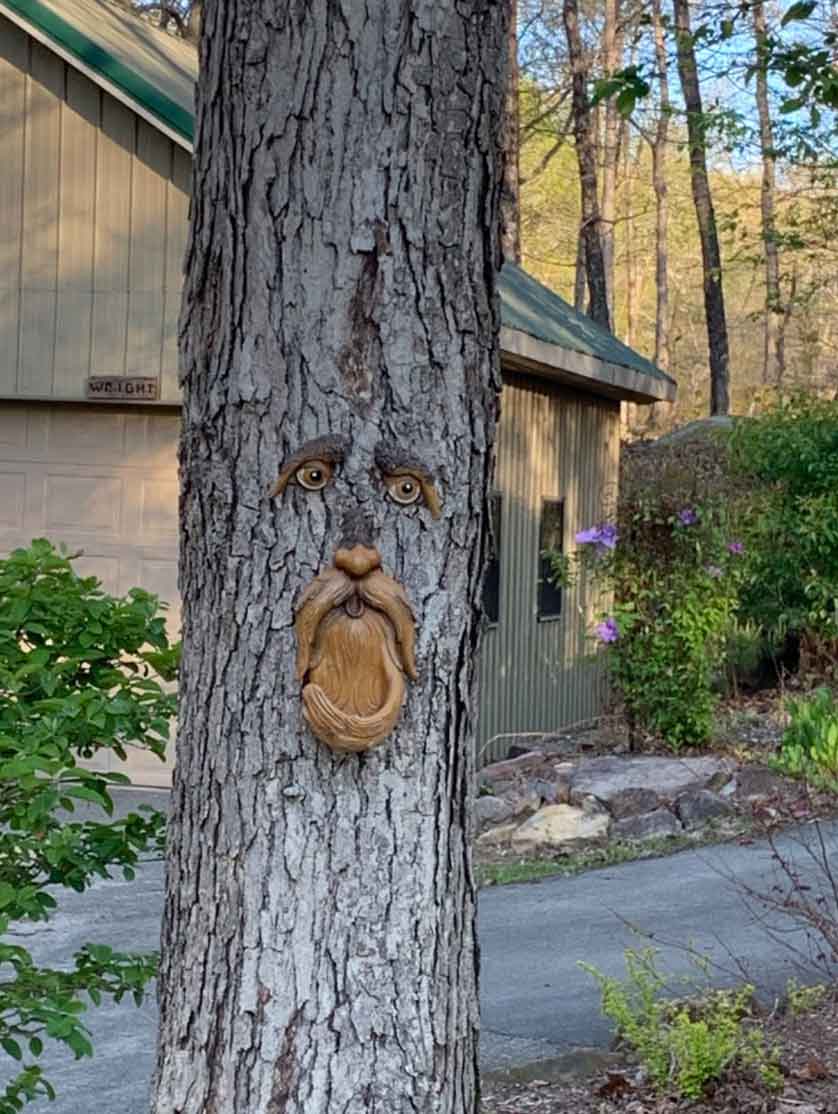 BirdFeeder, декорация за дърво под формата на лице, която е също и хранилка за птици - Image 8