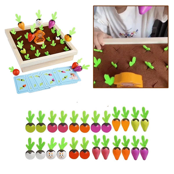 CARROT - video