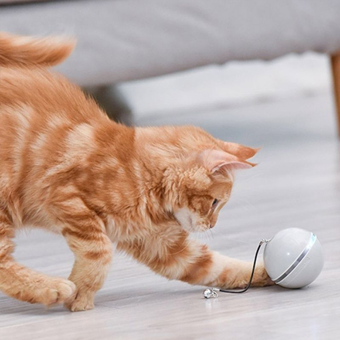 CatToy, играчка за котка, която бяга и маха пера - Image 3
