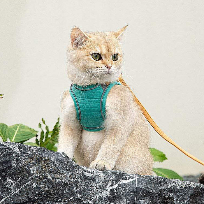 CatVest, повод за котки - Image 3