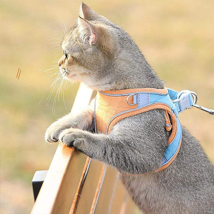 CatVest, повод за котки - Image 4