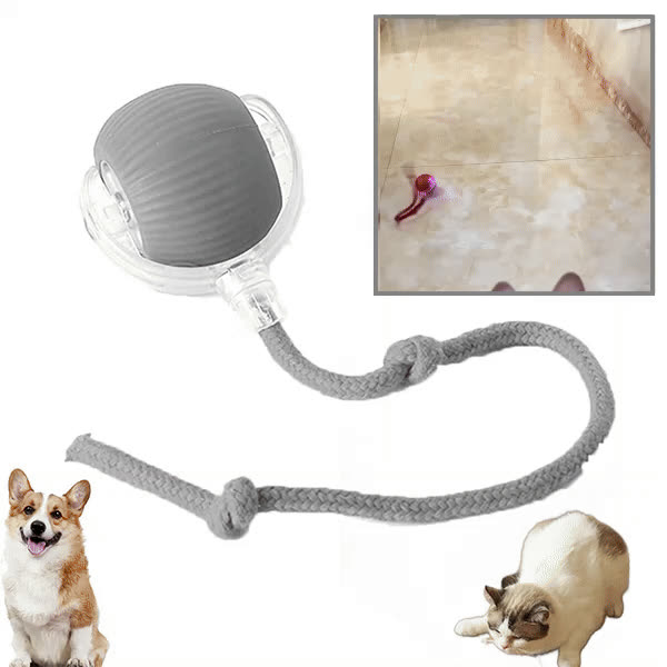 DOGTOY, ChewiePlay интерактивна топка - video
