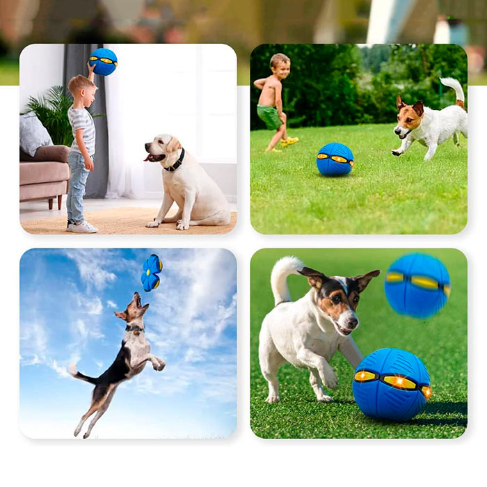 DiskBall, играчка за кучета, която е и фризби и топка - Image 7
