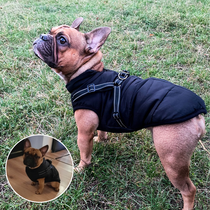 DogJacket, отразяващо и водоустойчиво зимно палто за кучета - Image 6