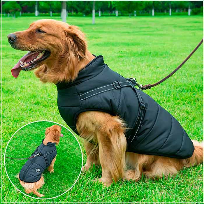 DogJacket, отразяващо и водоустойчиво зимно палто за кучета - Image 10