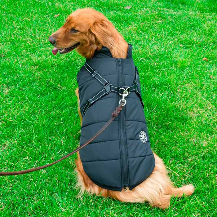 DogJacket, отразяващо и водоустойчиво зимно палто за кучета - Image 11
