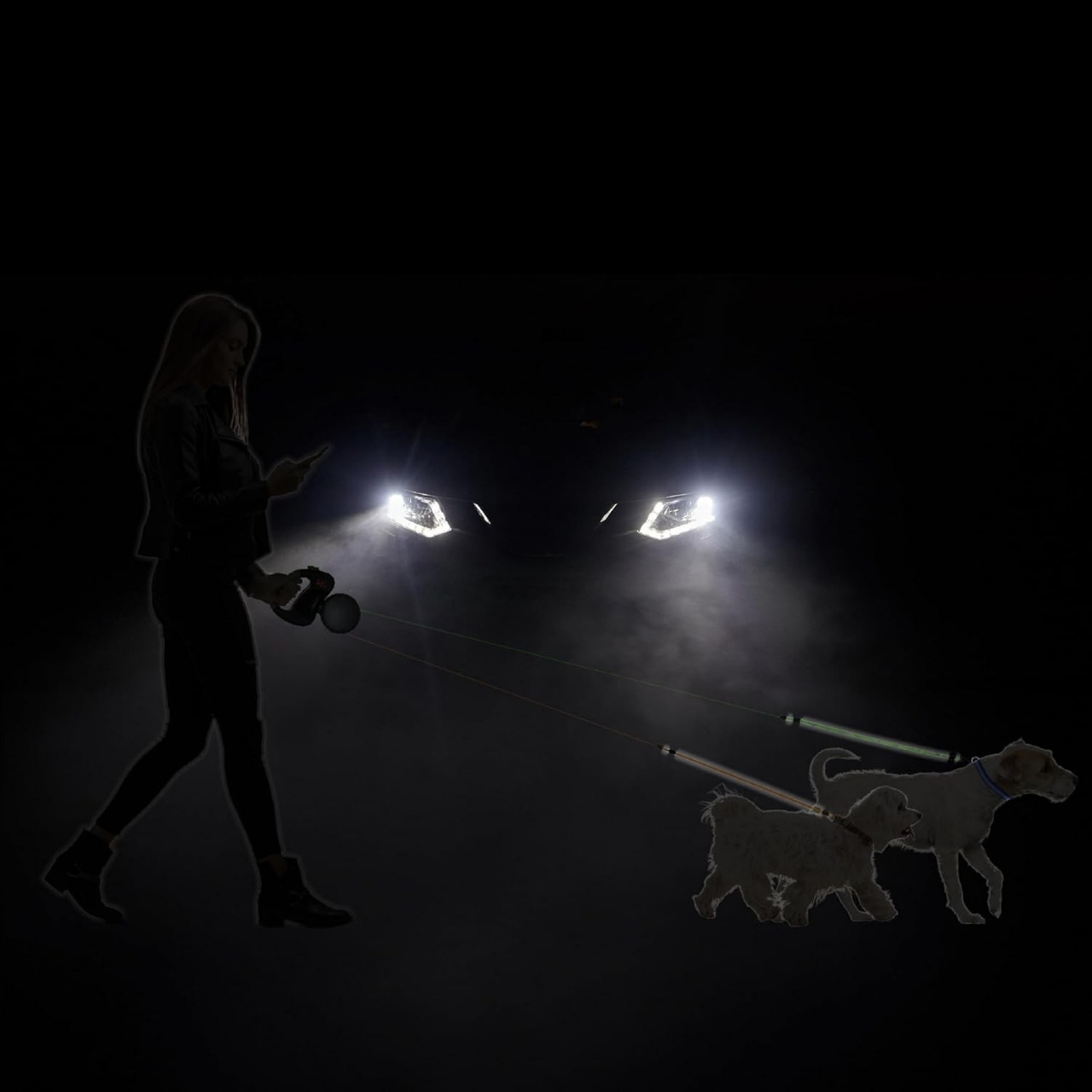 DoubleLeash, прибиращ се повод за две кучета - Image 10