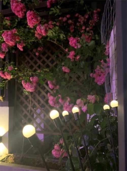 FireflyLights, слънчева градинска лампа с 6 светлини - Image 10