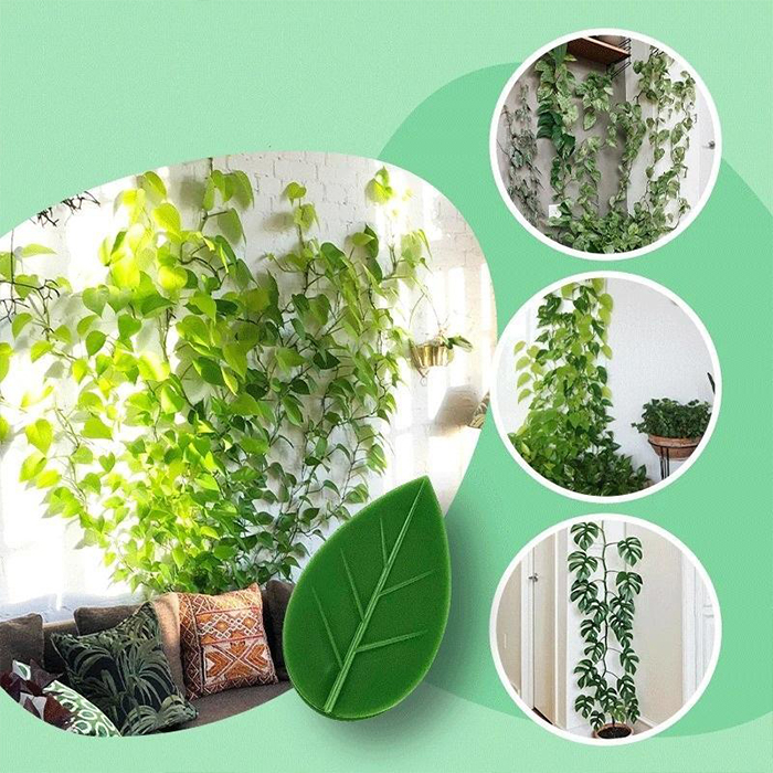 FixtureClips, 10+10 БЕЗПЛАТНИ самозалепващи се държачи за клонки на растения - без пробиване! - Image 6