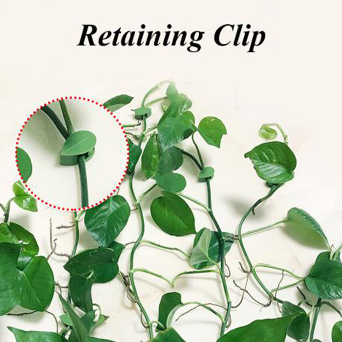 FixtureClips, 10+10 БЕЗПЛАТНИ самозалепващи се държачи за клонки на растения - без пробиване! - Image 7