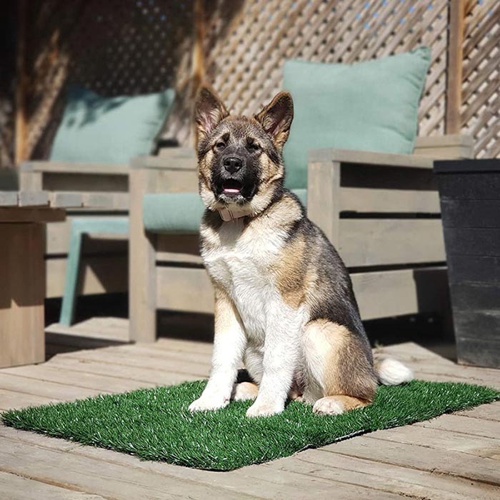 GrassMat, постелка с вид на естествена трева - Image 5