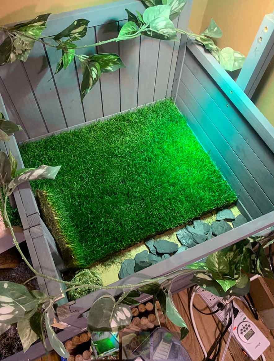 GrassMat, постелка с вид на естествена трева - Image 10