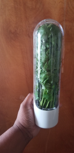 HerbFresh, контейнер за съхранение на подправки и други свежи храни - Image 10