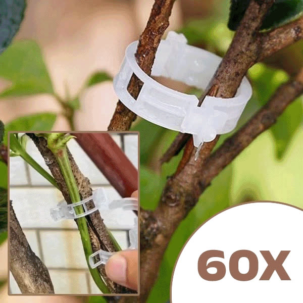 PLANTCLIP, GreenGrow Подкрепа за Растения - 60 Щипки - video