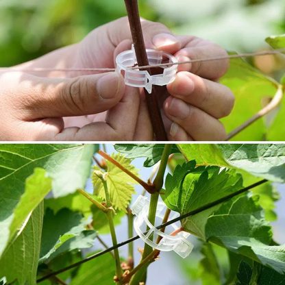 PLANTCLIP, GreenGrow Подкрепа за Растения - 60 Щипки - Image 3