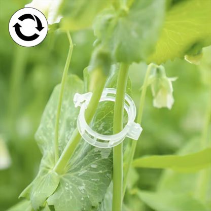 PLANTCLIP, GreenGrow Подкрепа за Растения - 60 Щипки - Image 4