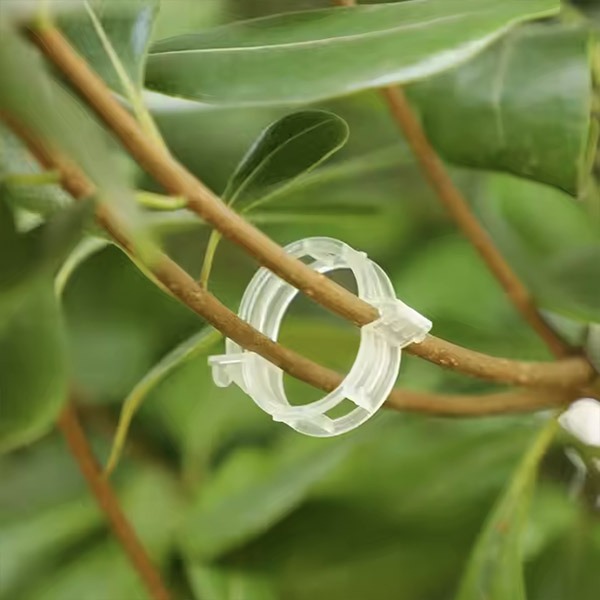 PLANTCLIP, GreenGrow Подкрепа за Растения - 60 Щипки - Image 6