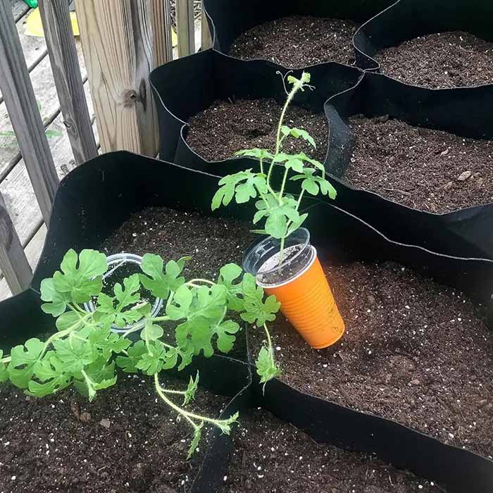 Pocket4Garden, преносима градинска леха с 4 отделни отделения - Image 6