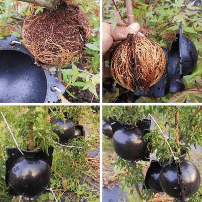 RootBall, инструмент за успешно клониране на растения (2 бр.) - Image 5