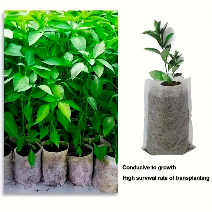 SeedBags, биоразградими торбички за засаждане и отглеждане на растения (100 бр.) - Image 4