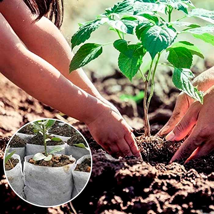 SeedBags, биоразградими торбички за засаждане и отглеждане на растения (100 бр.) - Image 7