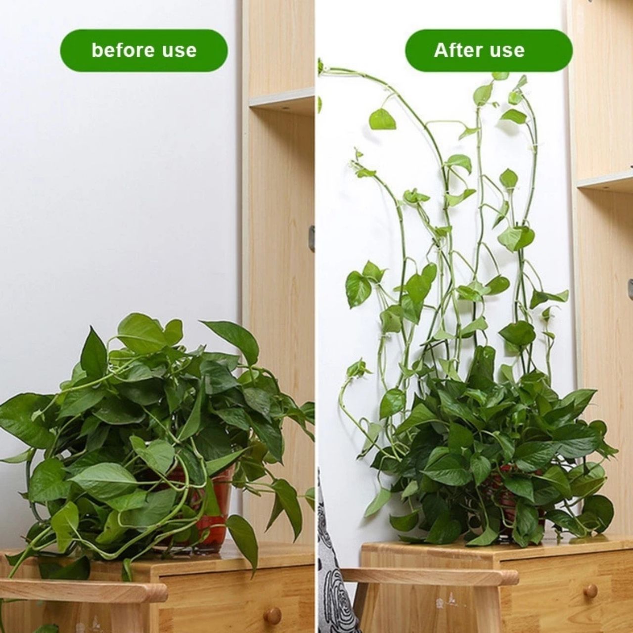 Vines, самозалепващи се стойки за растения и катерачи (100 броя) - Image 5