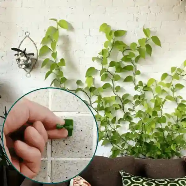 Vines, самозалепващи се стойки за растения и катерачи (100 броя) - Image 9
