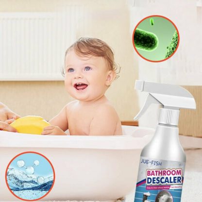WCLEAN - Image 3