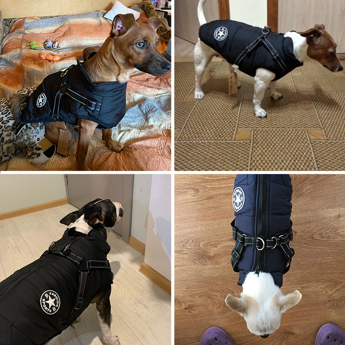 DogJacket, отразяващо и водоустойчиво зимно палто за кучета - Image 8